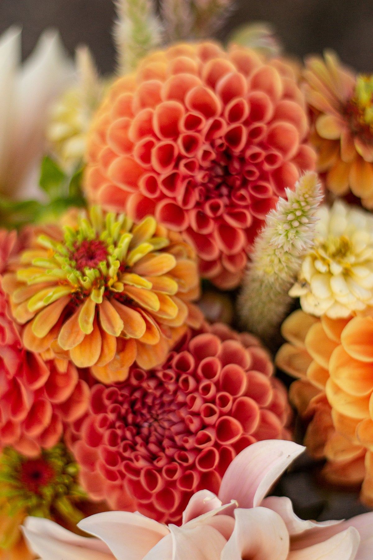 Bouquet Preorder