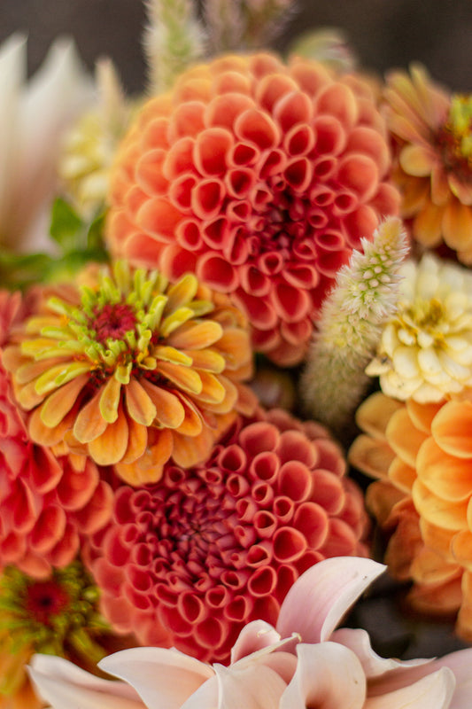 Bouquet Preorder